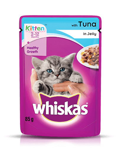 Kitten Wet Meal Tuna (Jelly)